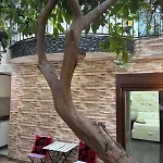 Boutique Princesa Πανσιόν Μαρμπέλλα