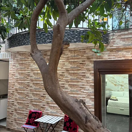 Boutique Princesa Penzion Marbella
